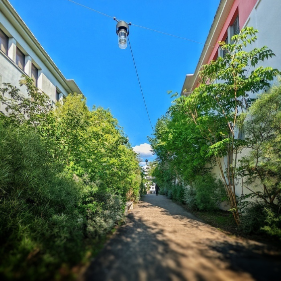 Bègles