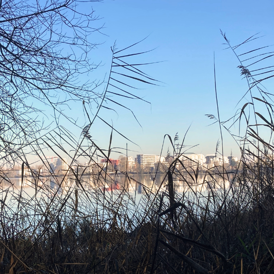 Bordeaux Lac & atelier photo